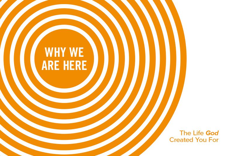 Why We Are Here: The Life God Created You For series art